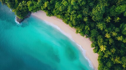 Aerial view of a pristine beach meeting lush tropical forest