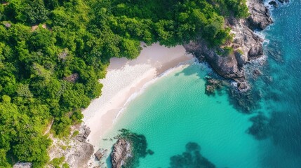 Aerial view of a tropical beach with lush greenery