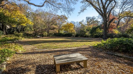 Sunny autumn park scene with a wooden bench