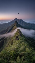 Majestic Mountain Ridge Covered in Ferns with Soaring Bird and Misty Clouds at Sunrise Landscape