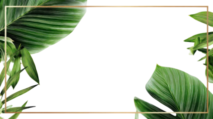 PNG Tropical leaves frame leaf nature green.