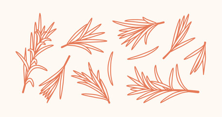 Rosemary Branch and Herbal Oil Logo or Rosemary Icon, Herbs Elements in Vector Format, Floral Rosemary Frame and Border, Hand-Drawn Rosemary Botanical