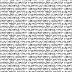 Obraz premium word dictionary definition