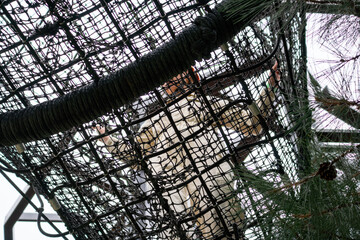 Obraz premium Lobster Trap, Maine, Fishing Industry, Close-up view of a lobster trap from underneath.