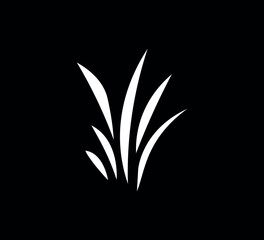vector silhouette of a plant. Grass on white background.