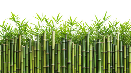 Fototapeta premium Bamboo growth in a lush forest nature photography tranquil environment close-up view sustainable concept