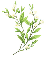 Fototapeta premium Delicate white flowering branch natural habitat botanical illustration peaceful setting close-up plant life