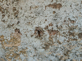 Weathered Concrete Wall with Textured Surface