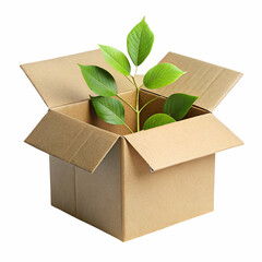Open Cardboard Box with Green Plant Sprout open box