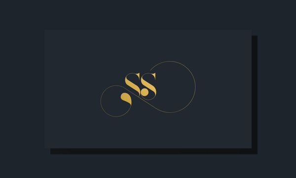 Minimal royal initial letters SS logo
