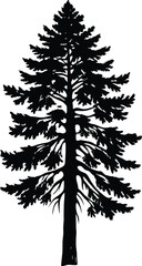 Rustic Pine Tree Silhouette, Hand-Drawn Evergreen Forest Tree Vector Illustration