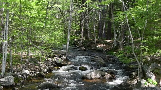trap falls brook in willard brook state forest