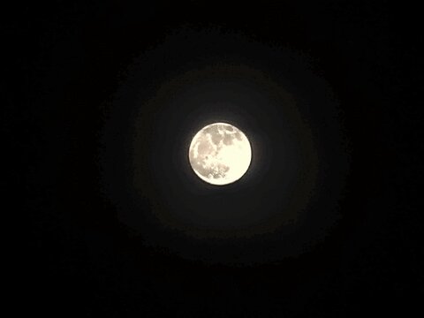light of the moon