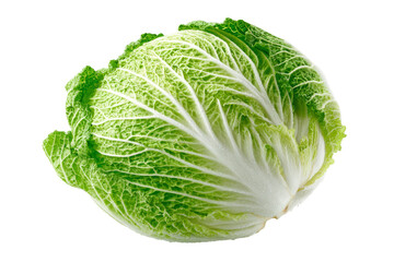 Obraz premium A large head of lettuce with a white stem