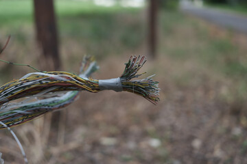 A wire with a tape on it is hanging from a tree