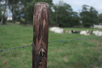 A wooden post with a barbed wire fence behind it
