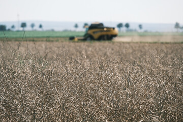 A yellow tractor is in a field of dry grass