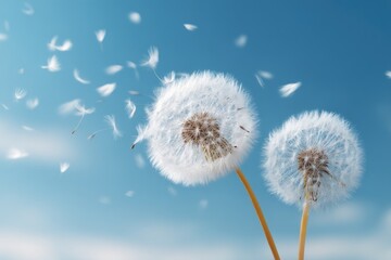 Obraz premium Two dandelion seeds dispersing in a light breeze against a pale blue sky