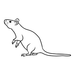 Line drawing of a rat standing on its hind legs