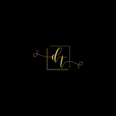 Luxury Letter dt Monogram in Gold Line Style