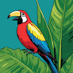 colorful tropical birds vector illustration