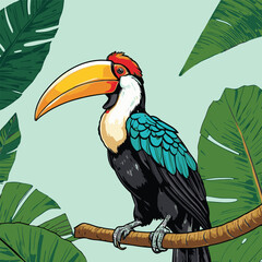 colorful tropical birds vector illustration