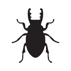 Fototapeta premium Stag beetle vector graphic illustration insect black silhouette isolated on white background design element