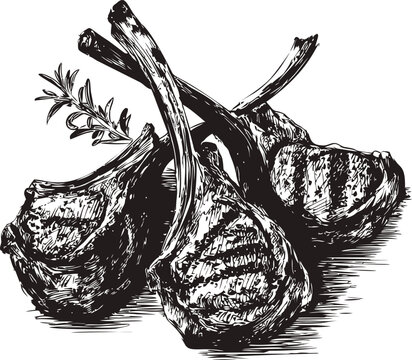 Black and white sketch of rosemary lamb chops with grill marks on wooden surface. Vector illustration