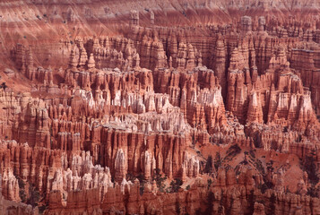 bryce canyon national park landscape