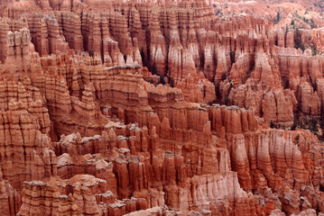 bryce canyon national park landscape