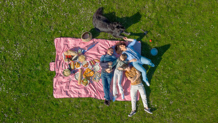 Happy family relaxing and having fun together outdoors during a picnic in the park with their dog