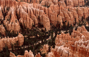 bryce canyon national park view