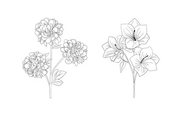 hand drawn set of black and white floral outlines.