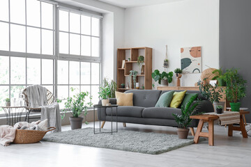 Interior of light living room with comfortable grey sofa and houseplants