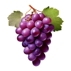 Fototapeta premium Bunch of purple grapes fruit