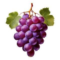 Fototapeta premium Bunch of purple grapes fruit