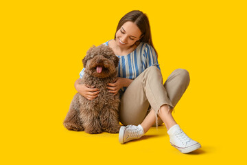 Young woman hugging adorable brown Poodle dog on yellow background