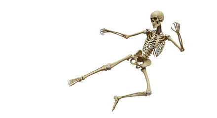 Skeleton performing kick