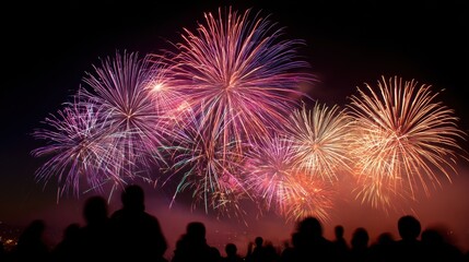 Fireworks shows offer stunning visual spectacles, blending explosive colors and rhythms to celebrate joyous occasions.

