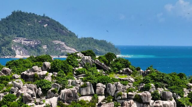 Sharp granite rocks interspersed with vibrant green vegetation by the ocean. Seychelles, Mahe.