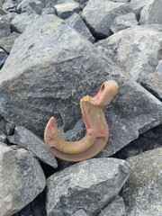Broken hook of the crane
