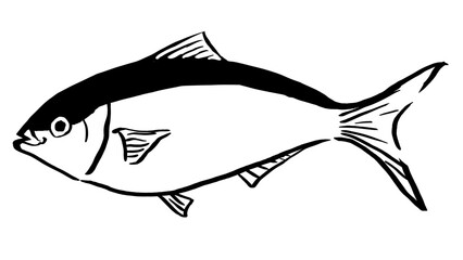 魚の鰤のアイコンのイラスト