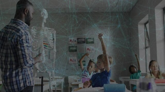 Teacher teaching anatomy with skeleton pointing ribcage, students raising hands and joining lesson