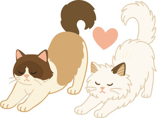 렉돌고양이
