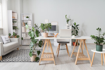 Interior of office with desks, green houseplants and sofa