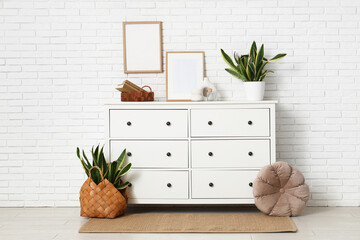 Interior of room with commode, blank frames and Sansevieria plants