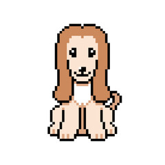 Pixel art cute afghan hound dog vector in retro style
