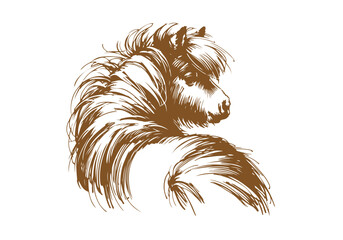 Shetland pony hand drawn sketch vector illustration