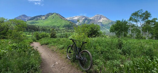 mountain bike path