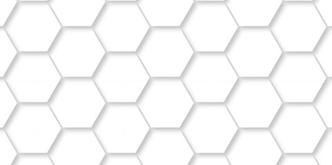 Abstract minimal Background with white lines Hexagonal structure futuristic white background and Embossed Hexagon , honeycomb white mosaic cell web ,light and shadow texture design.	